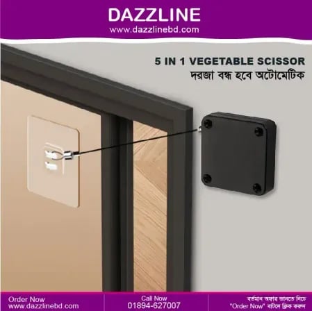 Automatic Door Closer