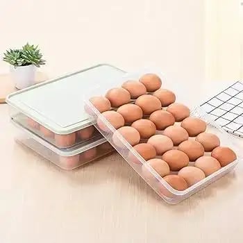 Grids Plastic Egg Storage Box – ৩