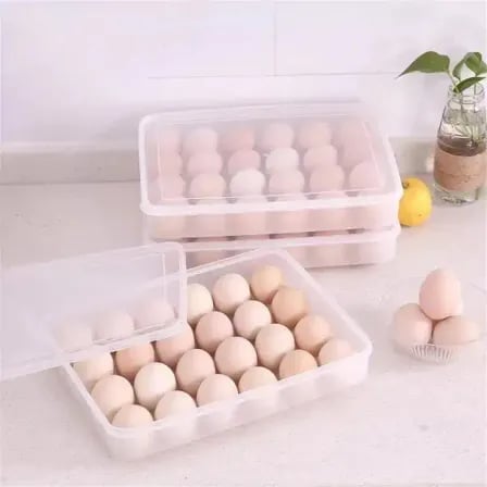 Grids Plastic Egg Storage Box – ৪