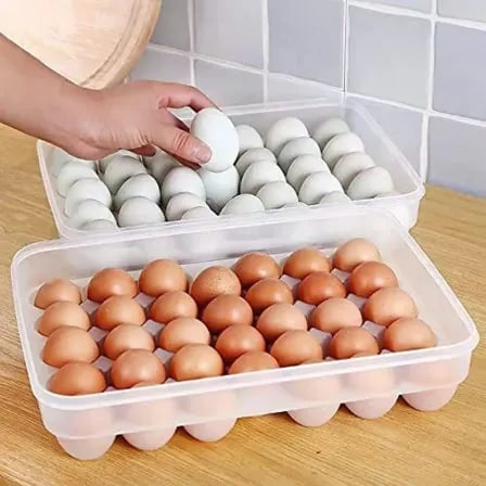 Grids Plastic Egg Storage Box – ৫