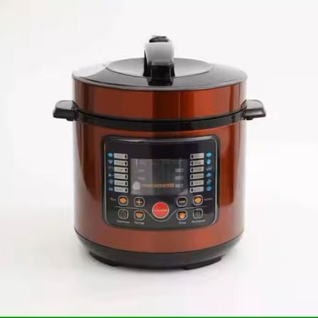 Multifunctional Electric Cooker