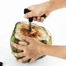 Coconut Opener – ৪