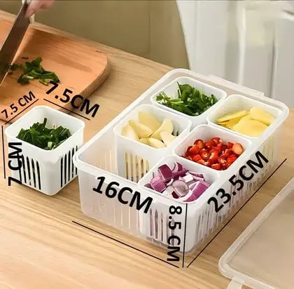 6 grid Refrigerator Storage Box – ৫