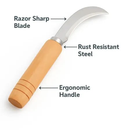 (২পিস) Daily Cutting Knife। প্রতিদিনের কাটাকাটির নিত্য সঙ্গী – ৬